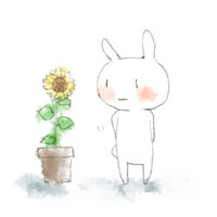 070830.jpg